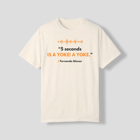 Fernando Alonso | funny radio quote | 5 seconds in a yoke